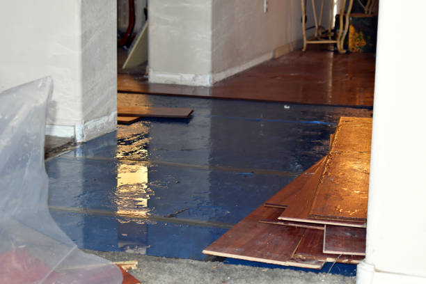 Professional Burst Pipe Cleanup technician working in Alton, NH